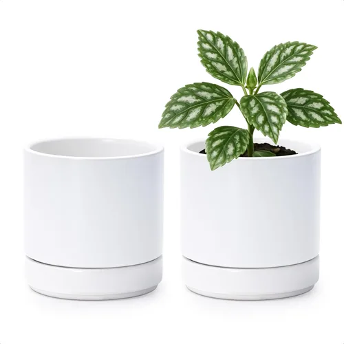 Vista 37 de D'vine Dev - Juego de 2 macetas de plantas de 3.5 pulgadas, maceta de cerámica para plantas con agujero de drenaje y platillo, negra, 94-V-A-2