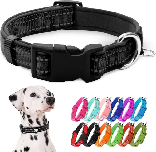 Vista 28 de azuza Collar reflectante para perro, collar acolchado de neopreno suave para mascotas con anillo de etiqueta de identificación, ajustable
