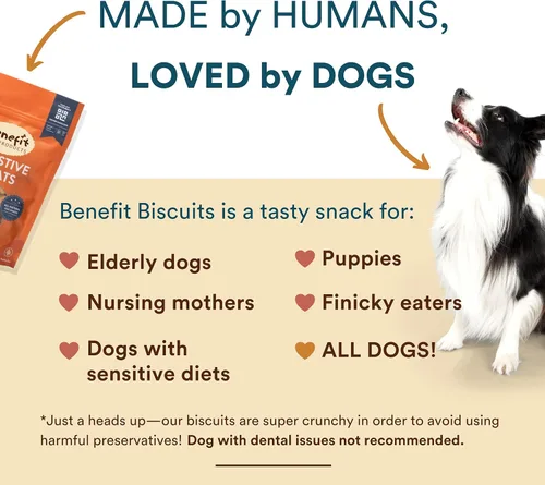 Vista 4 de Benefit Biscuits, golosinas naturales para perros, certificadas veganas, sin OMG, sin trigo, galletas saludables para perros, fabricadas en Estados