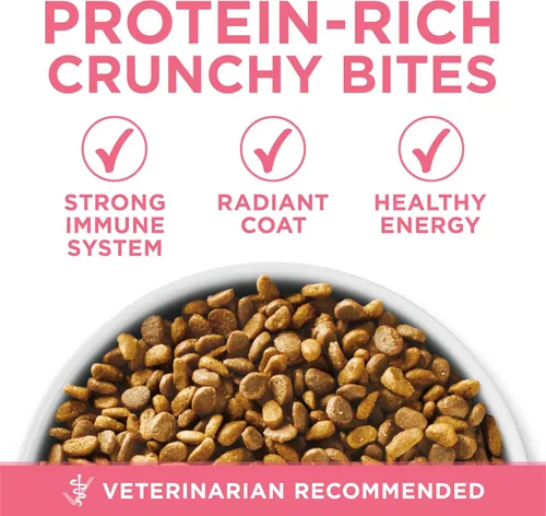 Vista 6 de Purina ONE - Alimento seco natural para gatitos, alto contenido en proteína, fórmula +Plus saludable - Bolsa de 3.5 libras