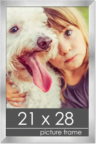 Vista 107 de Marco de madera de peltre plateado de 3 x 4 pulgadas, acrílico UV, respaldo de tablero de espuma y accesorios para colgar, marco de 3 x 4 pulgadas