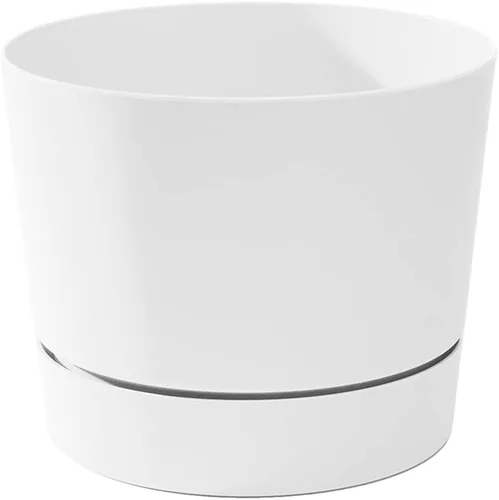 Vista 15 de Root & Vessel Majestic Mid-Century - Maceta cilíndrica moderna de perfil bajo, negro mate, 8.5 pulgadas