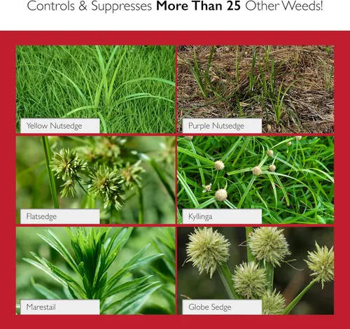 Vista 3 de SedgeHammer, herbicida de césped mata cyperus y maleza WP 1000 Sq