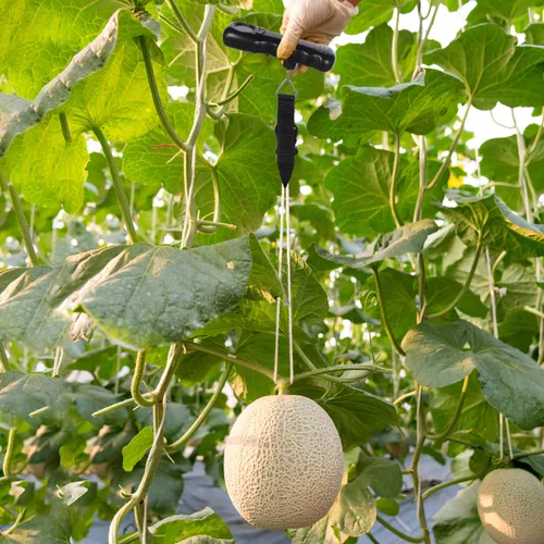 Vista 9 de BESPORTBLE Báscula digital portátil para equipaje con gancho, báscula de peso compacta para maleta de viaje, ligera, pantalla LCD precisa, batería