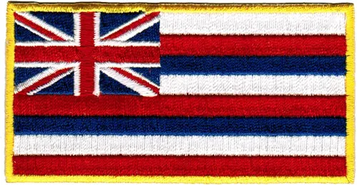 Vista 52 de Parche Bordado de la Bandera del Estado de Minnesota, Emblema MN, Planchado, Versión 2024