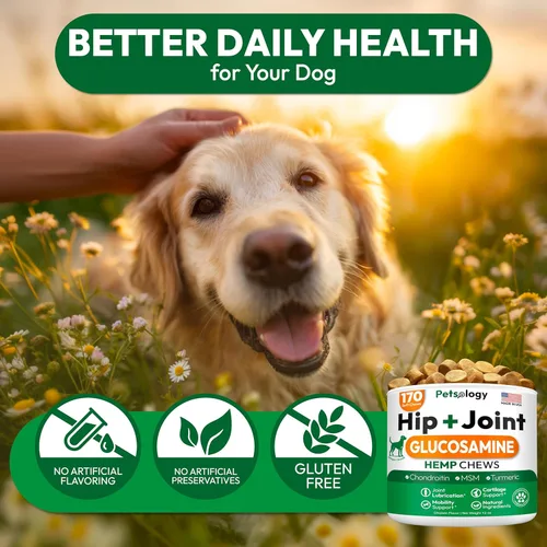 Vista 6 de Suplemento de cáñamo para cadera y articulaciones para perros, glucosamina para perros, 170 masticables de apoyo de movilidad, tratamiento avanzado