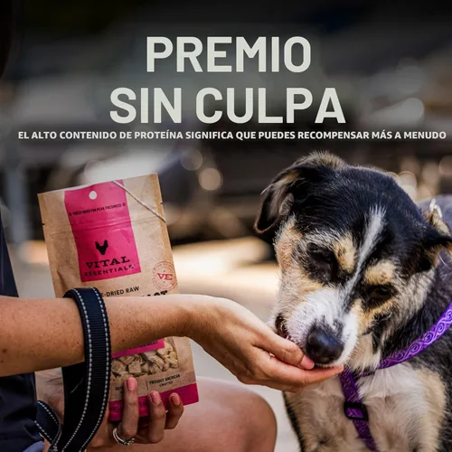 Vista 6 de Vital Essentials Golosinas de pechuga de pollo de un solo ingrediente para perros, 2.1 oz Liofilizadas crudas Golosinas de entrenamiento de alta
