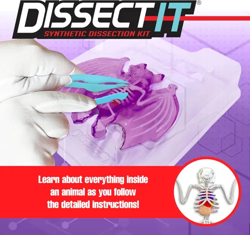 Vista 3 de Dissect-It Juguete de Disección de Laboratorio Sintético Simulado, Proyectos STEM para Niños, Ciencia Animal, Biología y Anatomía Kit de Aprendizaje