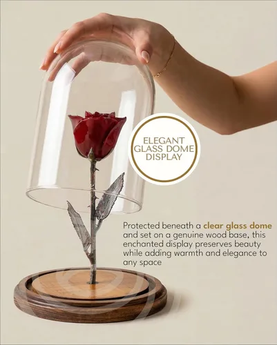 Vista 4 de Forever Rose Rosa encantada en cúpula de cristal, rosa preservada de borgoña real con tallo de cobre y base de madera, regalo romántico inspirado