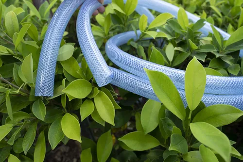 Vista 6 de Tubo de vinilo de PVC trenzado transparente de alta presión, flexible, 3/4" DI, 50 metros