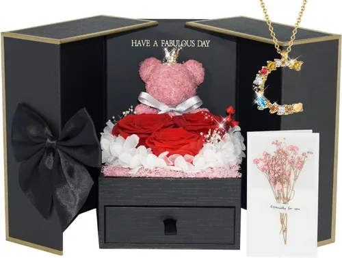 Vista 35 de ADDWel Regalos de Rosa Preservada para Ella - Rosa Real Única y Permanente con Collar "Te Amo" en 100 Idiomas, Regalos de Rosa Eterna para Mujeres