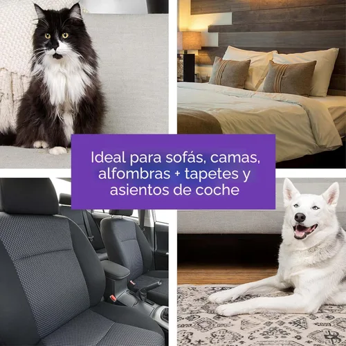 Vista 6 de BLACK+DECKER Removedor de Pelo de Mascotas, Rodillo, Elimina Fácilmente el Pelo de Perro y Gato (HMSCT0001)