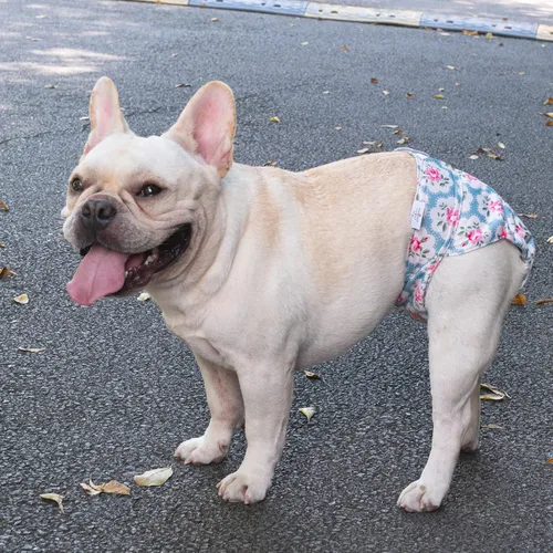 Vista 5 de CuteBone Pañales lavables para perras, paquete de 3 pantalones de entrenamiento para cachorros WWD02XS