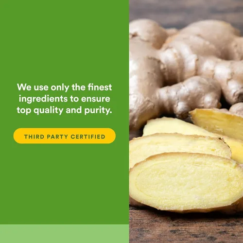 Vista 5 de Natural Factors Jengibre masticable 500 mg, 90