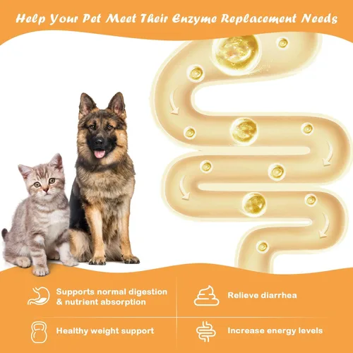 Vista 3 de Enzimas pancreáticas para perros (8.8 onzas) Fórmula de pancreatina 10x Enzimas digestivas para perros con EPI Ayuda a restaurar