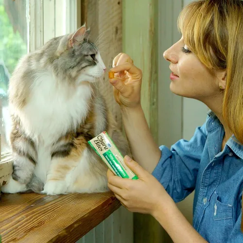 Vista 3 de INABA Churu Bites para Gatos, Golosinas para Gatos Rellenas de Churu Envueltas en Pollo Horneado Suave/Masticable con Vitamina E, 0.35 Onzas por