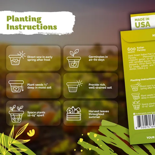 Vista 15 de KVITER 700 semillas de bálsamo de limón para plantar (Melissa Officinalis) - Semillas de hierbas medicinales orgánicas y tradicionales - Cultivar