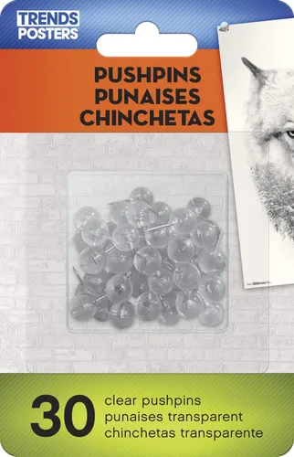 Vista 5 de Trends International The Wizarding World: Harry Potter - Dynasty Hermione Wall Poster, 14.72" x 22.37", Premium Poster & Push Pin Bundle