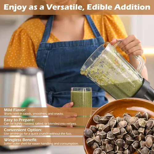 Vista 6 de Moringa Seeds sin alas, 16 onzas / 1 libra, variedad PKM1, aperitivos comestibles, plantación, Moringa Oleifera, Malunggay, Semillas de Moringa