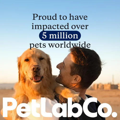 Vista 7 de PetLab Co. Itch Relief Chew Pro - Masticables para aliviar la picazón para perros, suplemento de omega 3 para la picazón, repleto de ácidos grasos