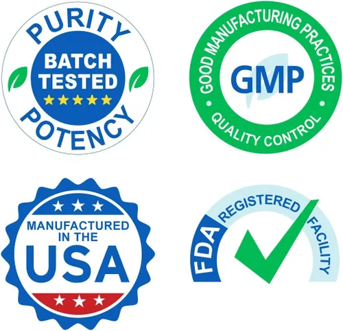 Vista 2 de Wellness Resources Daily Energy Múltiples Vitaminas – 90 cápsulas – Multivitamínico diario metilado MTHFR sin hierro – Vitamina B12, folato