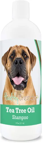 Vista 102 de Healthy Breeds Chow Chow Champú de aceite de árbol de té, formulado para pieles secas e irritadas, reduce la caspa, aroma de gaulteria, 8 onzas