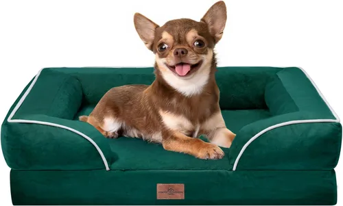 Vista 262 de Comfort Expression - Cama ortopédica para perros medianos de 30x20 pulgadas, cama impermeable de espuma de huevera para mascotas medianas