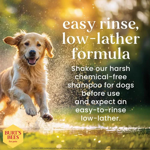 Vista 4 de Burt's Bees for Pets Champú hipoalergénico para perros con manteca de karité y miel Champú para perros para pieles sensibles Sin crueldad, sin